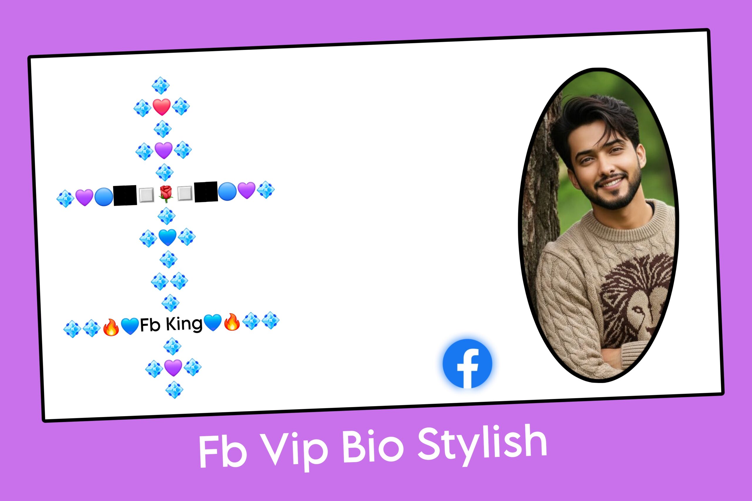 FB Vip Bio Stylish
